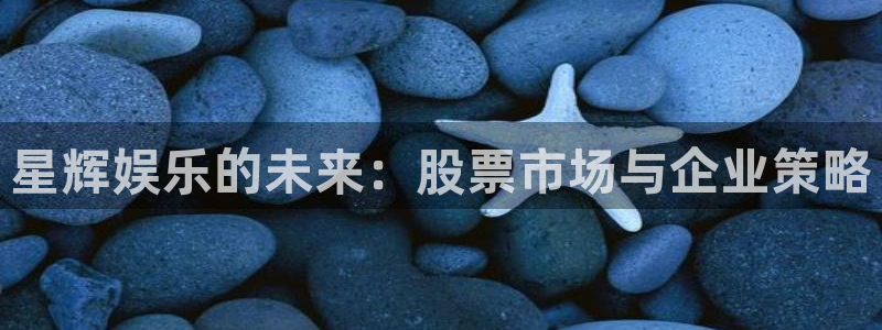 500彩票网官网：星辉娱乐的未来：股票市场与企业策略