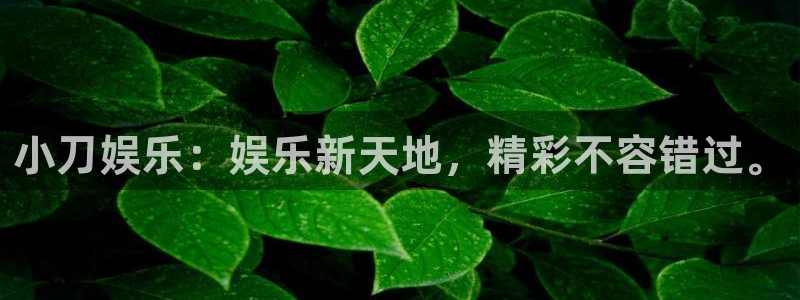 500网竞彩比分直播：小刀娱乐：娱乐新天地，精彩不容错过。