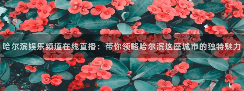 凯利指数欧赔500网：哈尔滨娱乐频道在线直播：带你领略哈尔滨这座城市的独特魅力