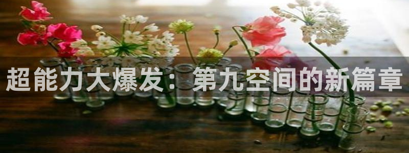 500网比赛结果