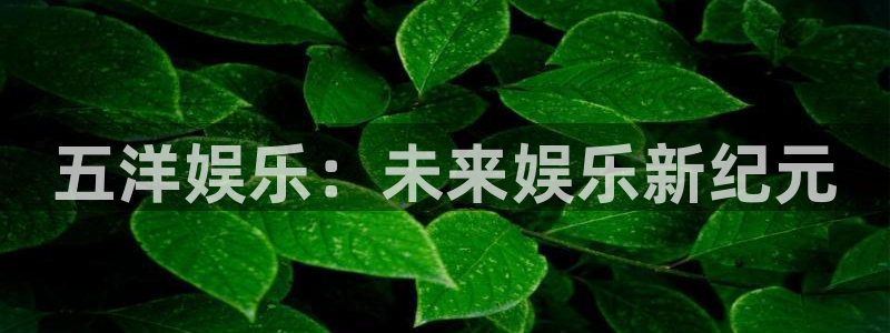 500网app苹果版