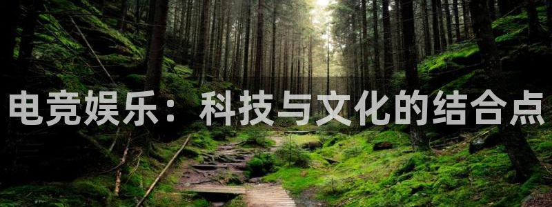 足球比赛比分500网