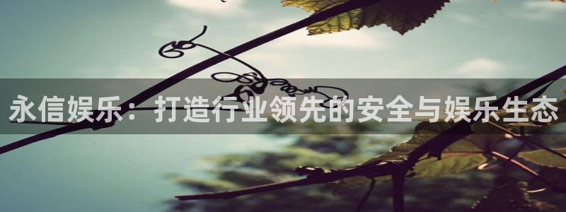 500网混合过关