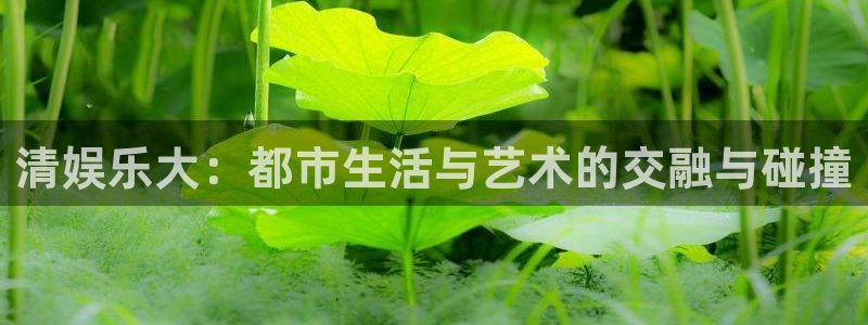 500网app苹果版