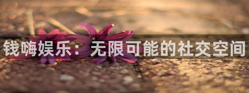 500网足球比赛直播