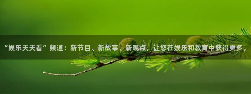 500网安卓版下载