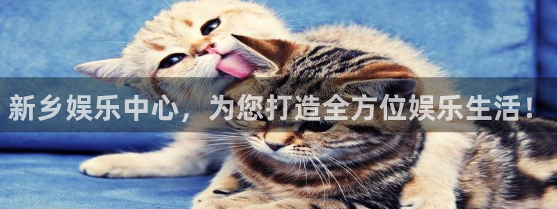 足球比分结果500网