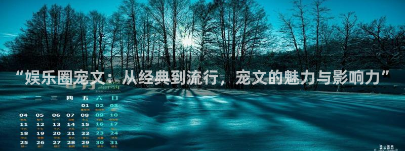 500网足球比赛直播