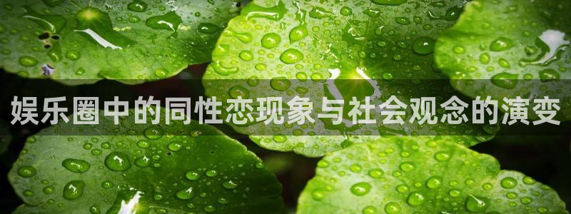 足球比分500网：娱乐圈中的同性恋现象与社会观念的演变