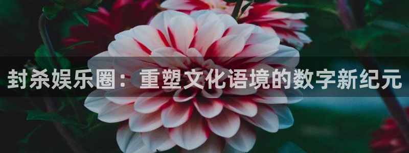500网比分查询技巧：封杀娱乐圈：重塑文化语境的数字新纪元