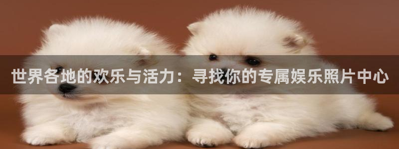 500网app官网下载：世界各地的欢乐与活力：寻找你的专属娱乐照片中心
