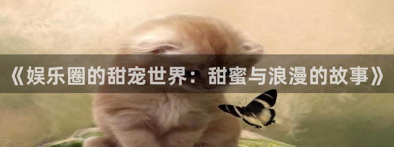 500网app的精选预测汇总：《娱乐圈的甜宠世界：甜蜜与浪漫的故事》