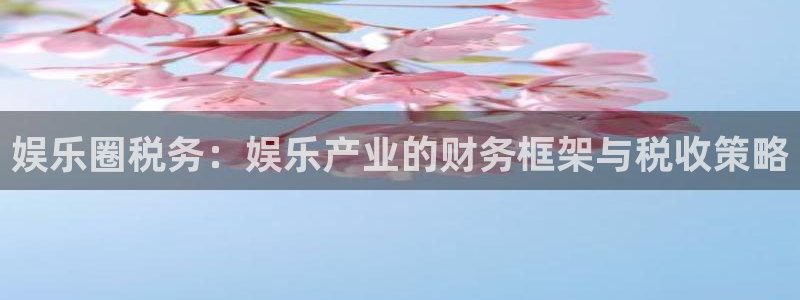 足球比赛结果500网足球：娱乐圈税务：娱乐产业的财务框架与税收策略
