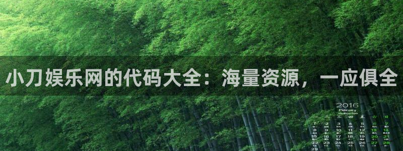 足球比赛查询500网：小刀娱乐网的代码大全：海量资源，一应俱全
