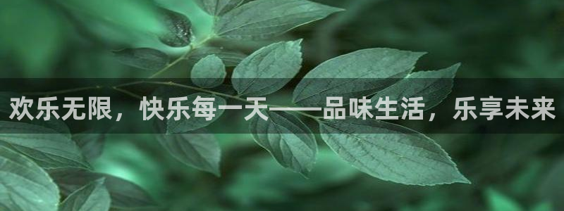 500网没有指数了：欢乐无限，快乐每一天——品味生活，乐享未来