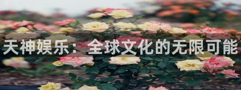 500网比分查询技巧：天神娱乐：全球文化的无限可能
